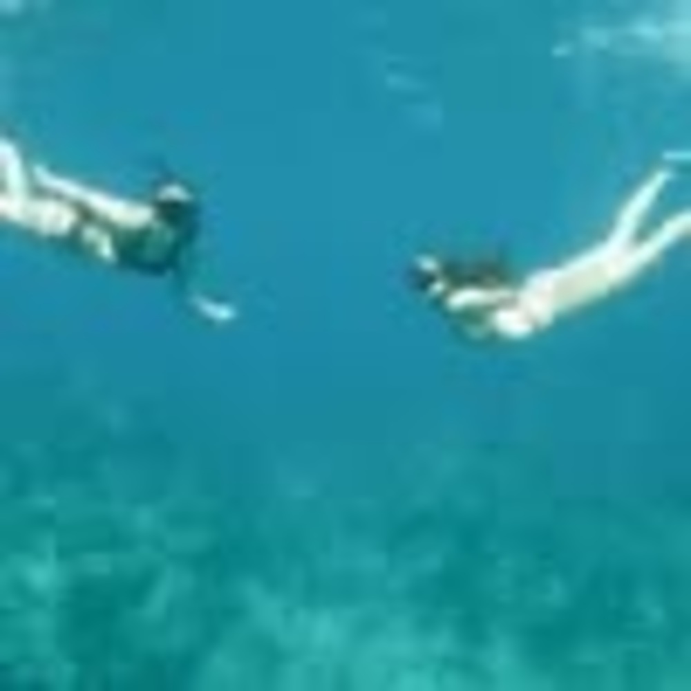 Meet your Posher, Lesli